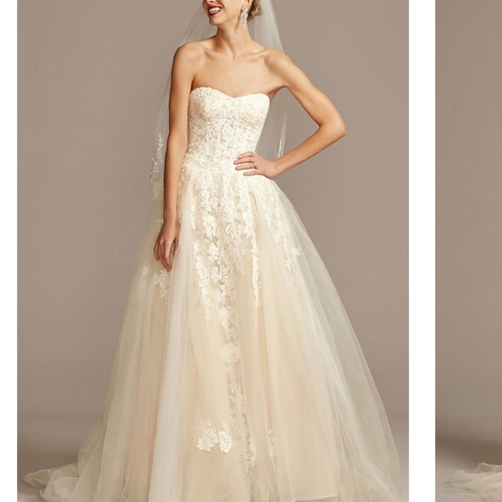 Wedding dress- sheer lace and tulle ball gown wedding dress